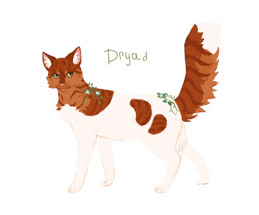 Driad Oc Rocks Dryad!oc by SiestawithVine on DeviantArt