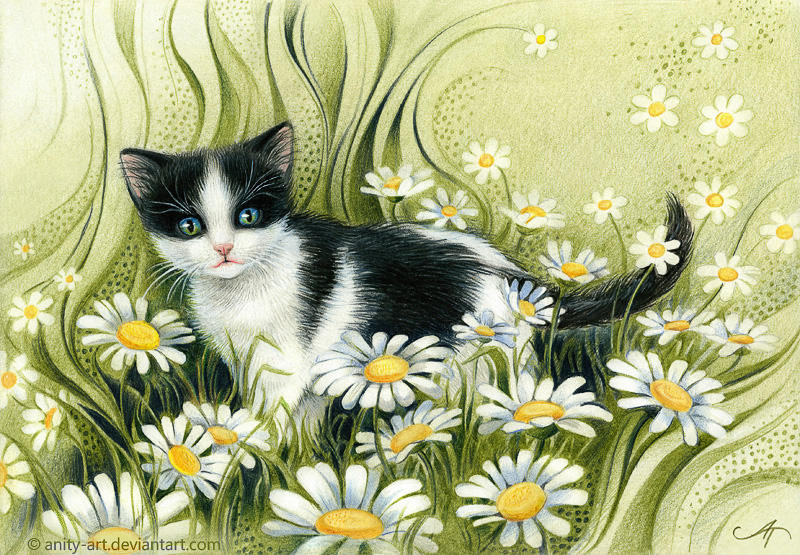 Summer kitten by Anity-art Summer kitten by Anity-art