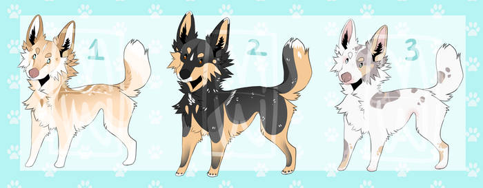 Realistic dogs adopt | 3/3 OPEN |
