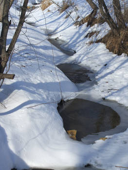 stream in winter