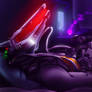 NanoFoX and Zero-01 - Sleeping