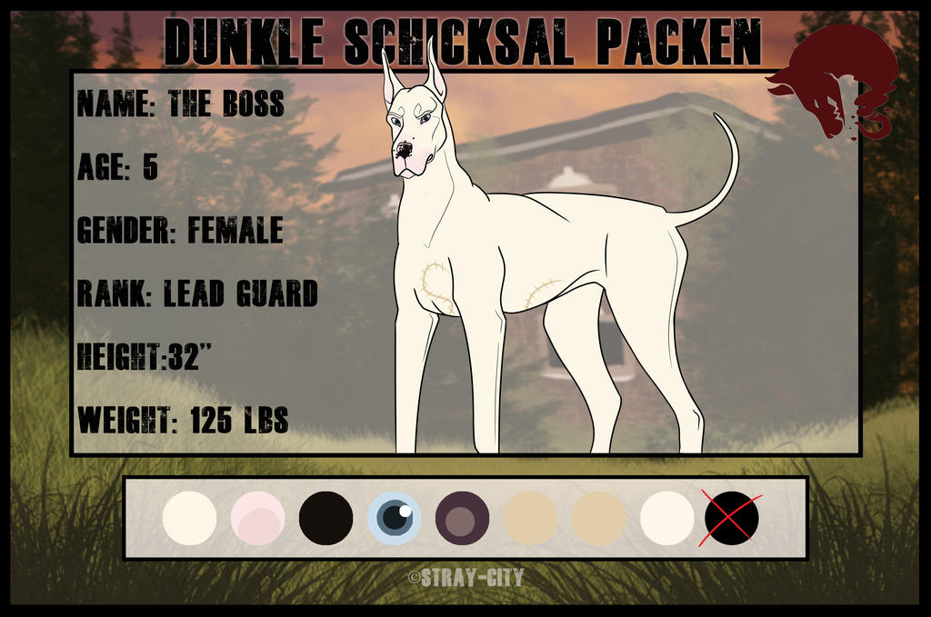 SC | Dunkle Schicksal Packen | The Boss