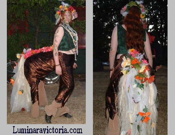 Centaur costume