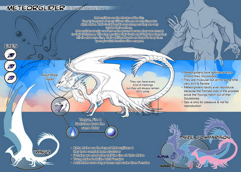 Ref Sheet - Meteorglider