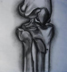 KNEE BONE