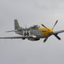 mustang p51d frankie reworks