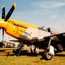 P51 FEROCIOUS FRANKIE a