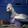 HARRY POTTER studio sets tour , tec,make-up dept,