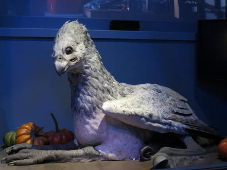 HARRY POTTER studio sets tour , tec,make-up dept,