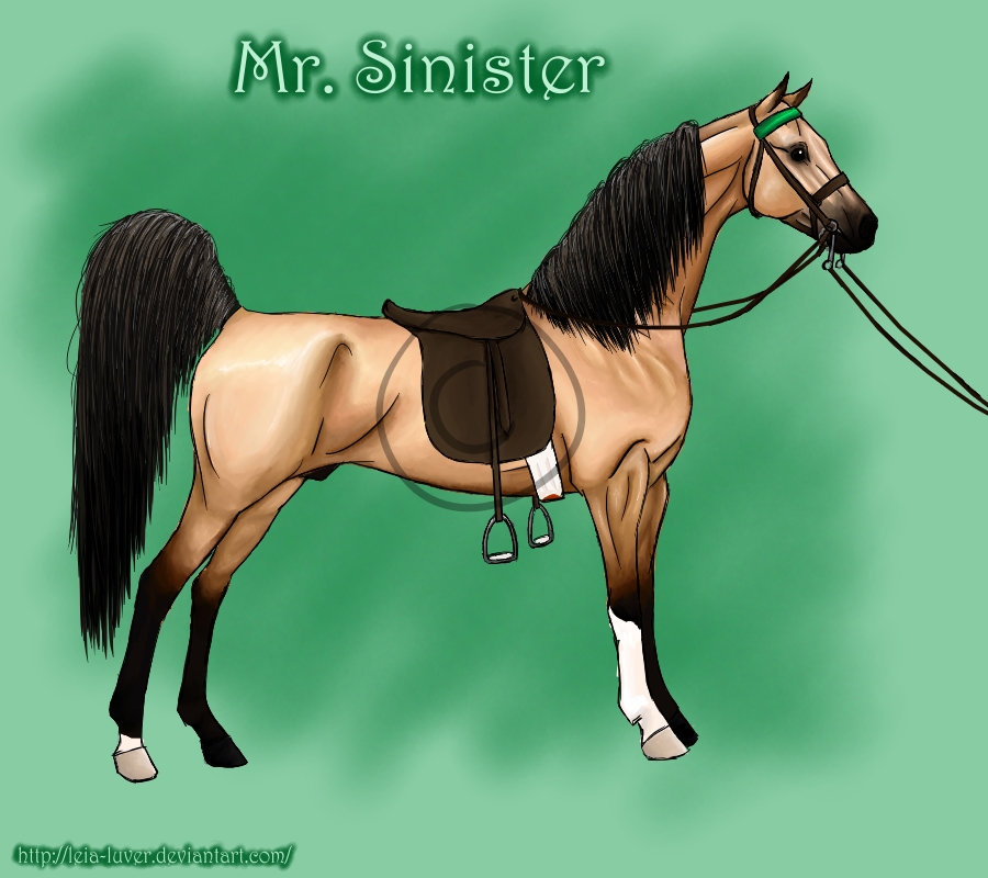 Mr. Sinister - ASB Stallion