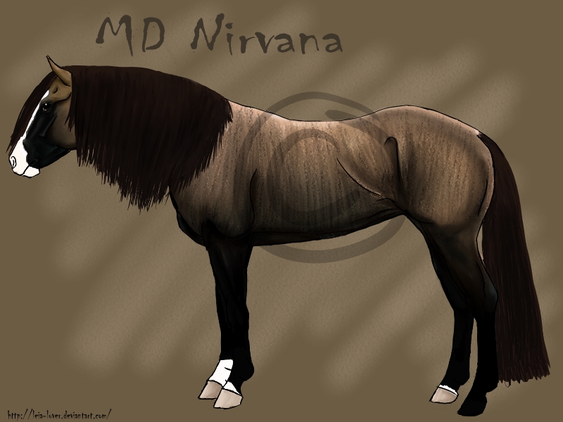 MD Nirvana - Mustang Mare