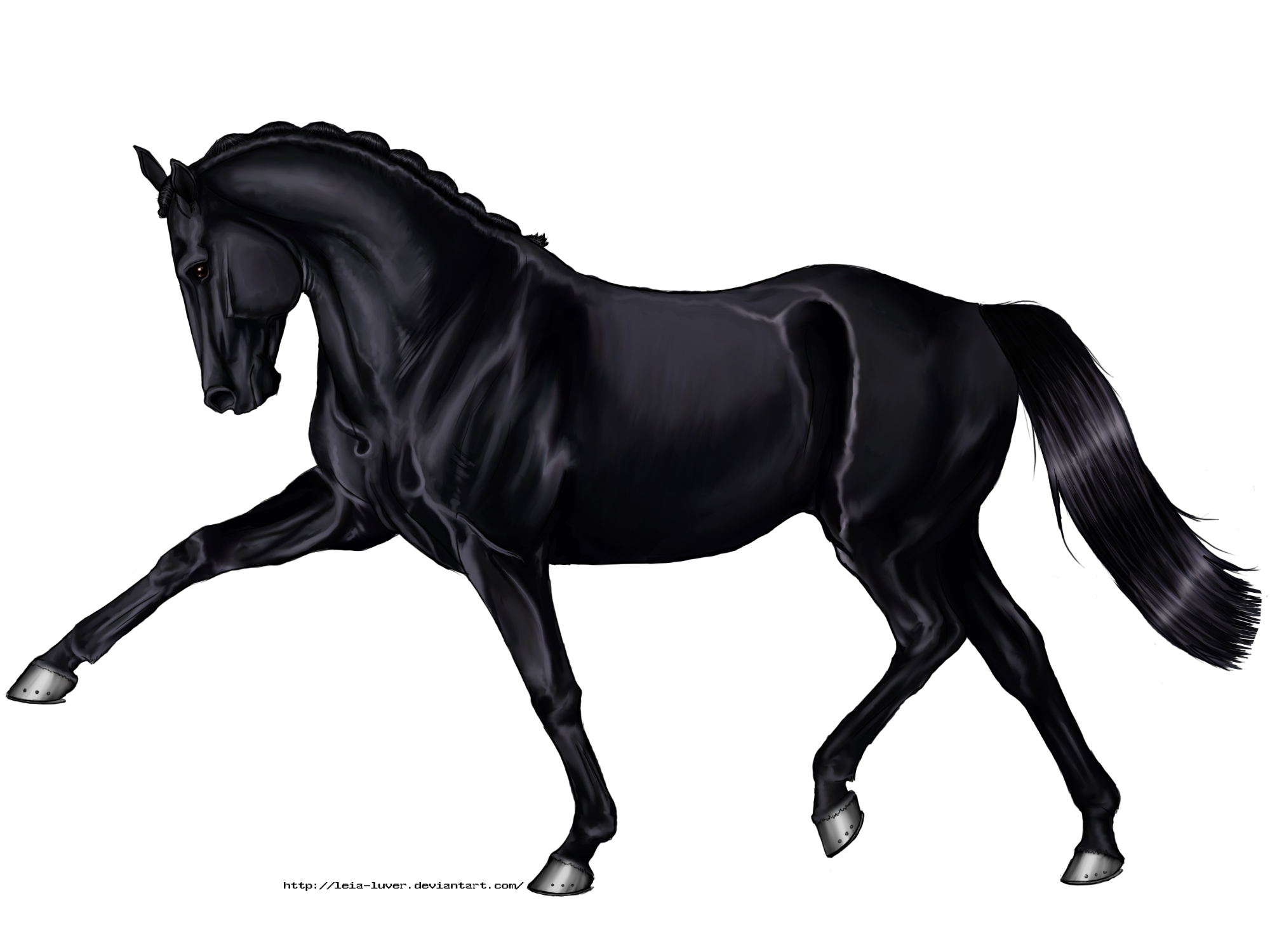 Black Horse