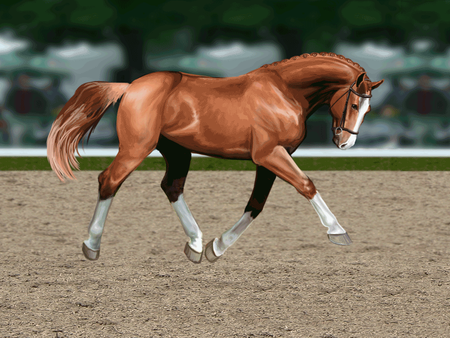 Trot Animation by wideturn on DeviantArt Trot Animation by wideturn on DeviantArt