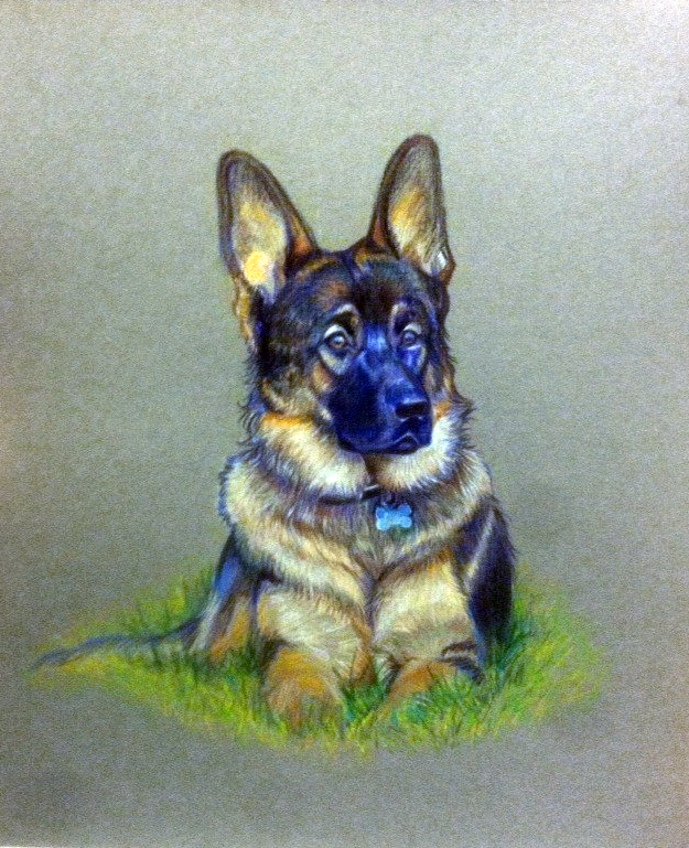 German Shepherd Dio - Commission