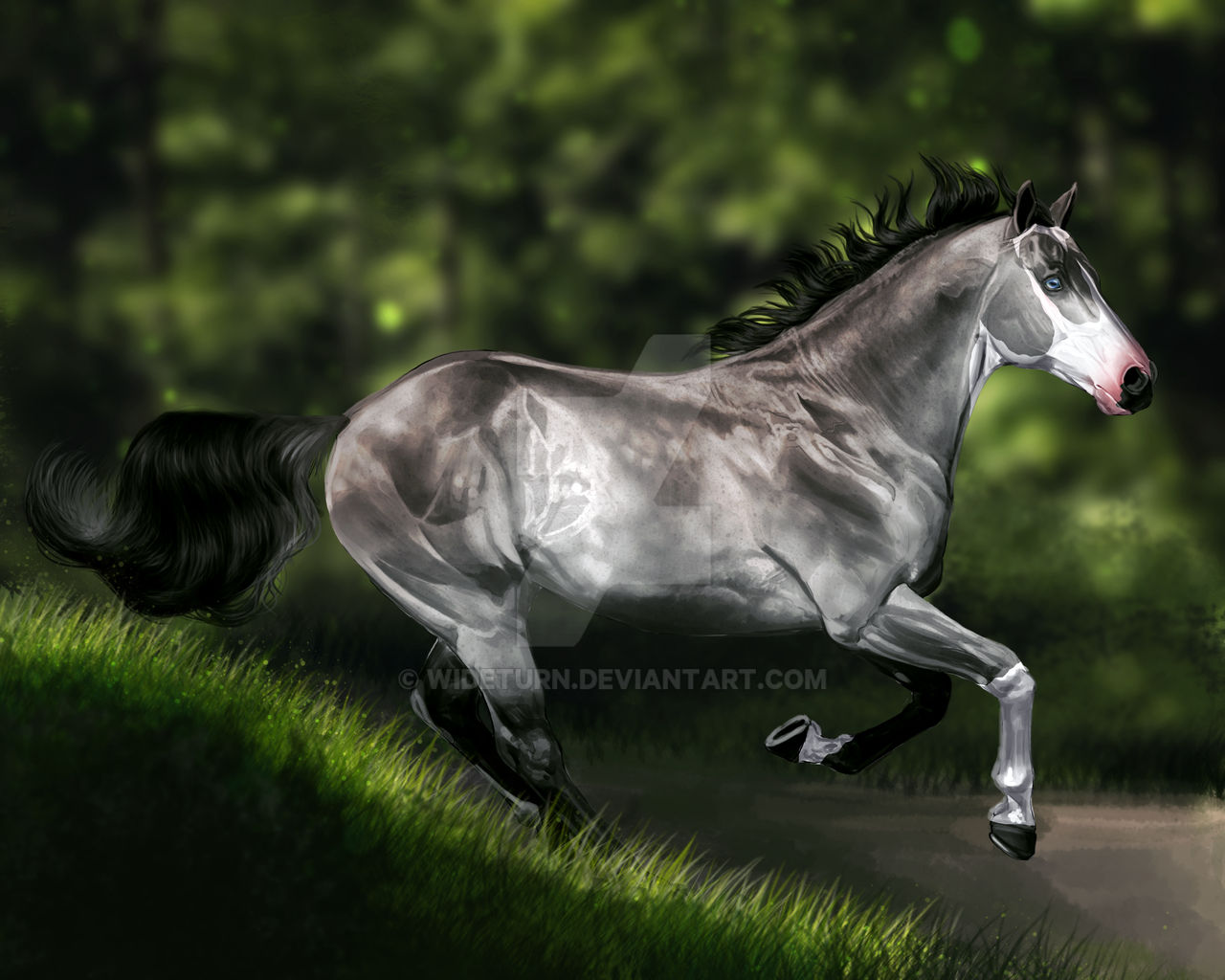 Forest Gallop