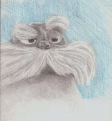 Lorax