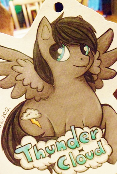 ThunderCloud - Pony Badge Commission