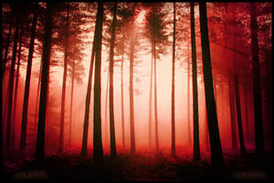 Serve The Servants by x---A-R-N-O---x Serve The Servants by x---A-R-N-O---x