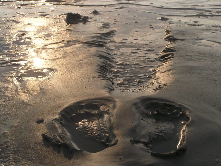 Footprints in the sand