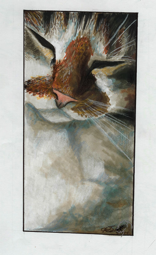 Random Kitty by dsw on DeviantArt