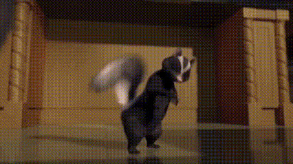 THIS IF SKUNK FART GIF COMPILATION? by EVELYNVISTAYT on DeviantArt