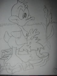 Daffy Duck,