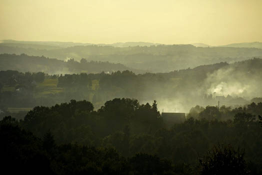 Foggy evening