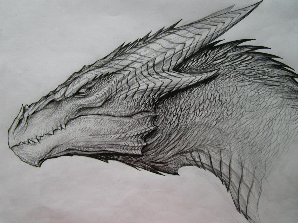 Dragon Sketch by TatianaMakeeva on DeviantArt