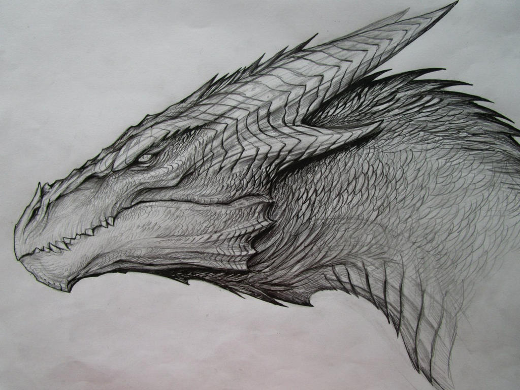 Dragon Sketch by TatianaMakeeva on DeviantArt Dragon Sketch by TatianaMakeeva on DeviantArt
