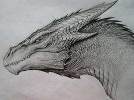 Dragon Sketch