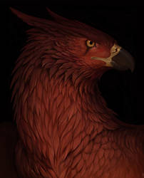 Red gryphon portrait