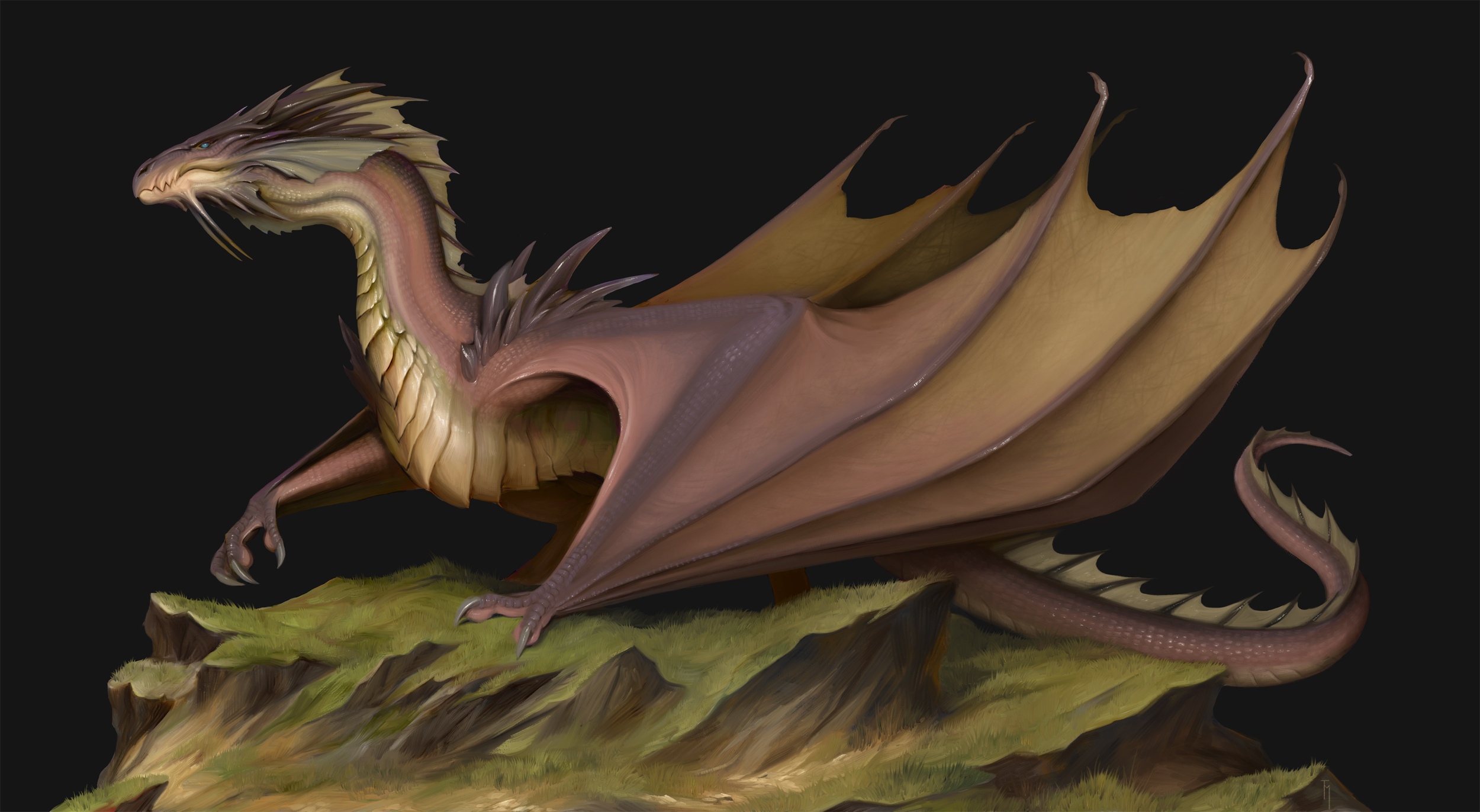 Wyvern By TatianaMakeeva On DeviantArt wyvern-by-tatianamakeeva-on-deviantart