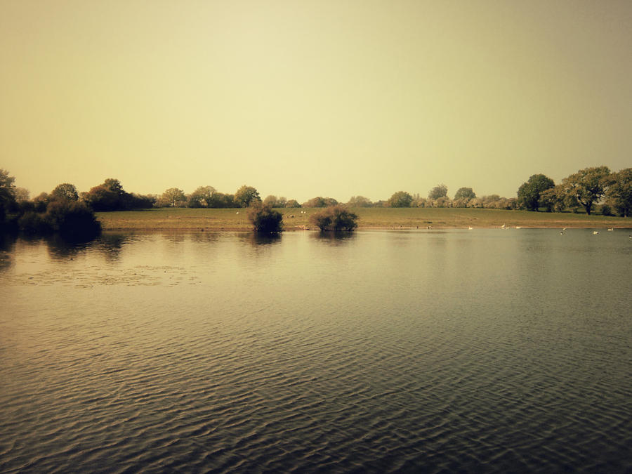 Across the Lake