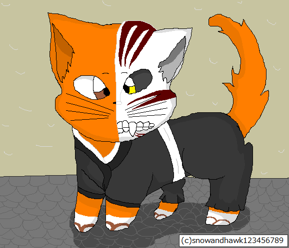 Ichigo Cat.