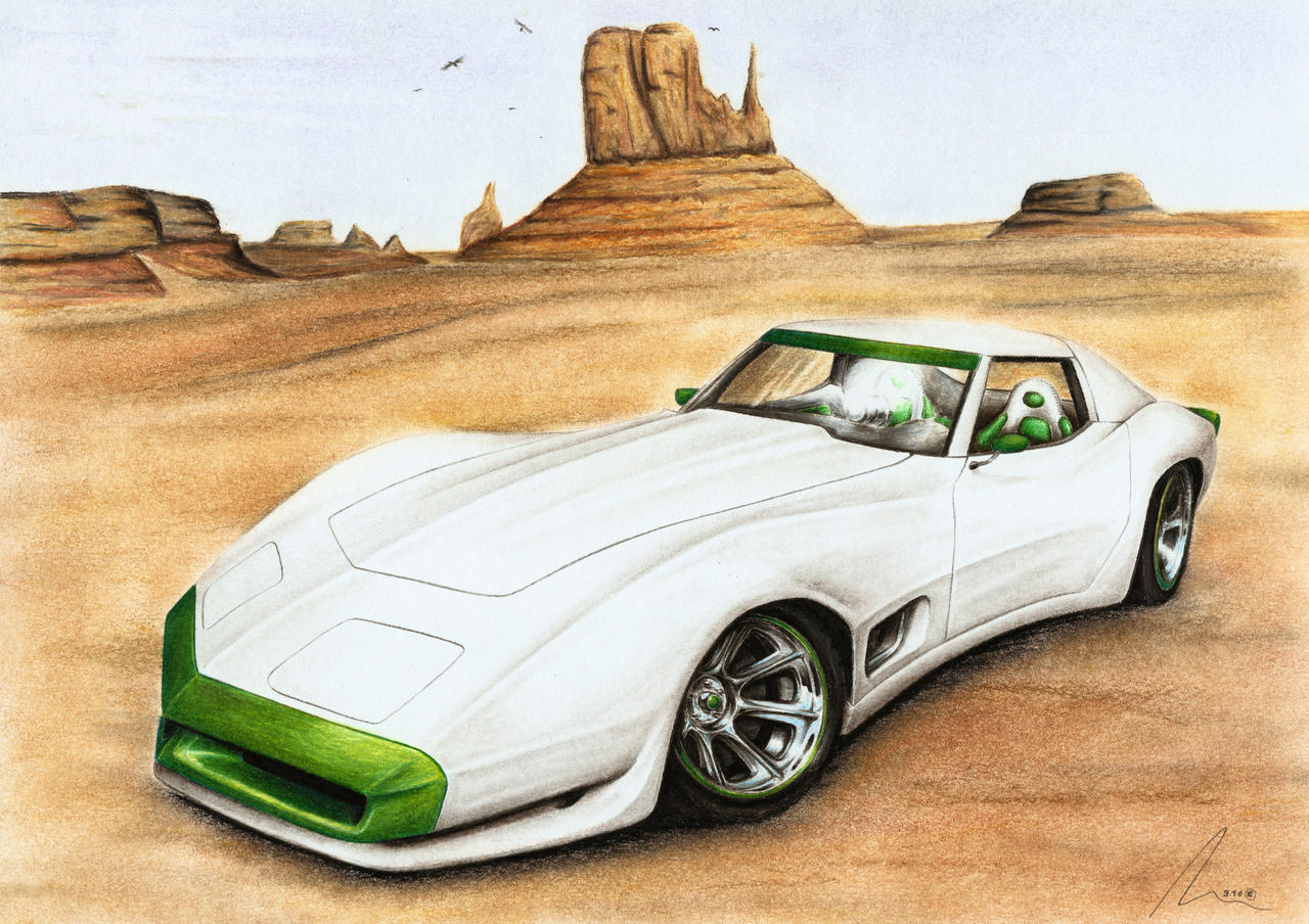 Chevy Corvette - Wastehound