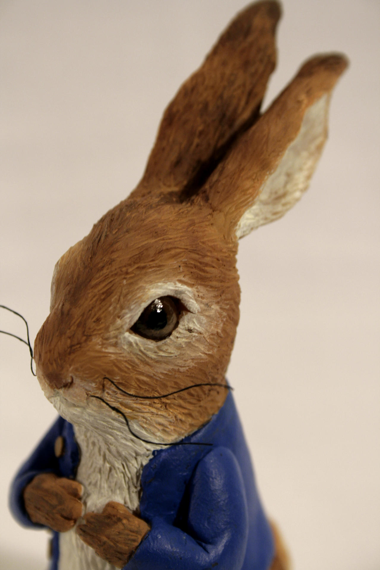 Peter Rabbit close up