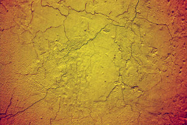 Texture 4