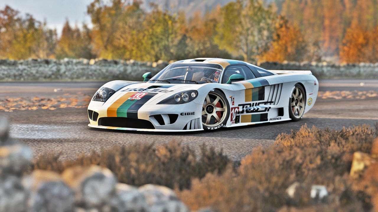 Saleen Racing Team 1 by HachuPichu on DeviantArt