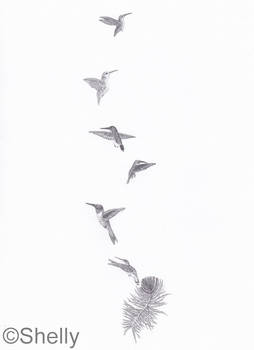 Hummingbird Tattoo Design