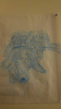 Dog life drawings 2