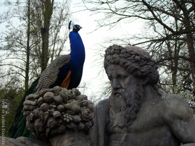 M. Peacock and Mr.OldMonument