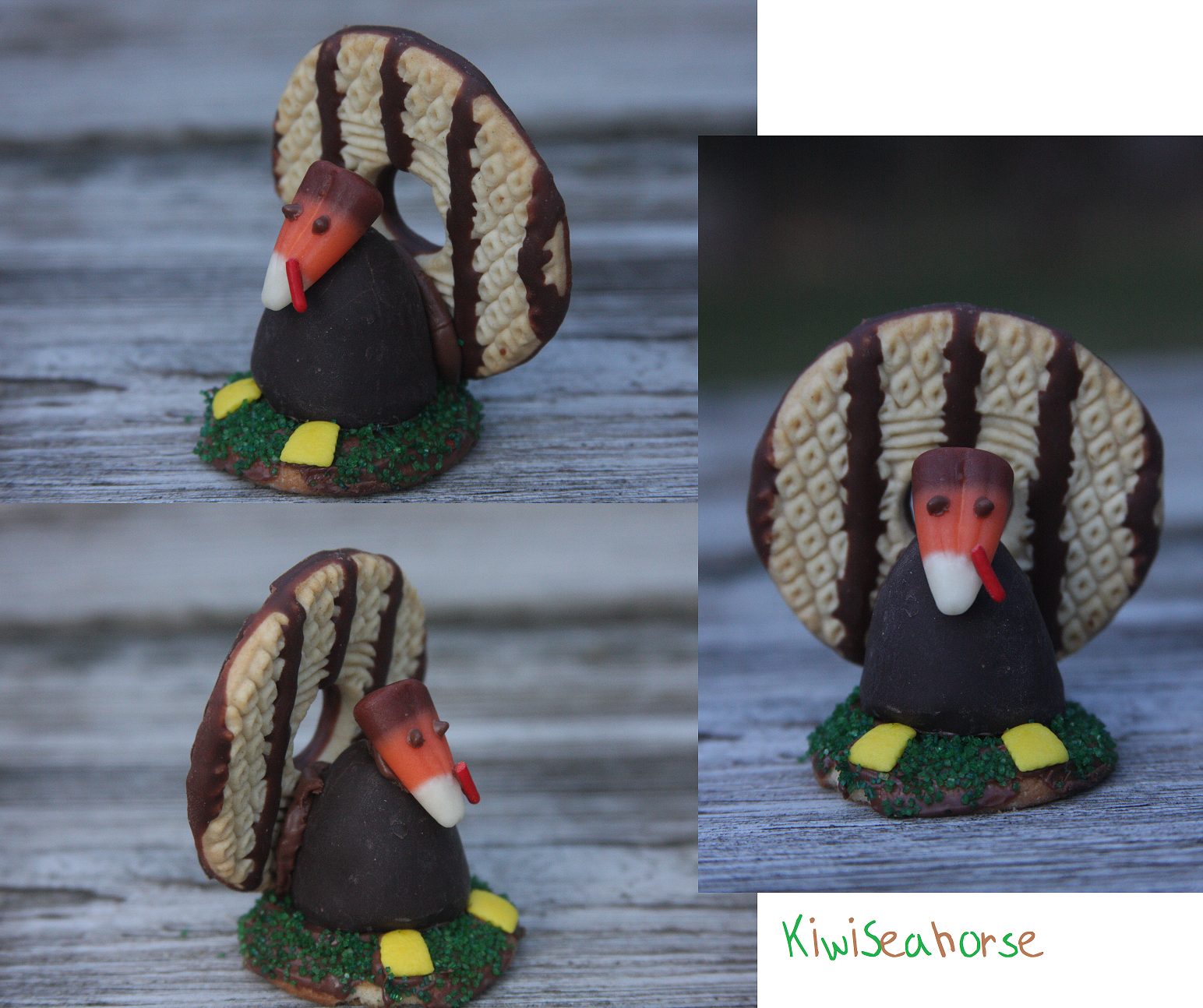 Turkey Cookie