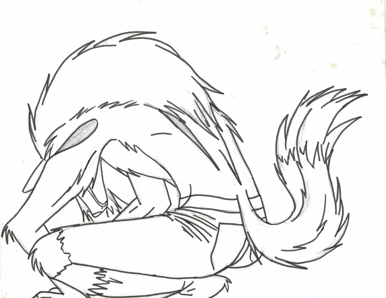 Mark werewolf form by Inkiebubbbles on DeviantArt