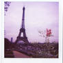 Pink Eiffel..