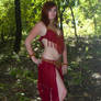 Bellydancer 1