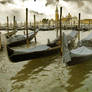 Still Waters Venice