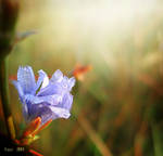 Colors of My Mind II by Callu