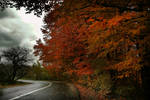 Autumn Road by Callu