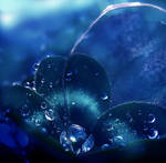 Double Round Blue by Callu