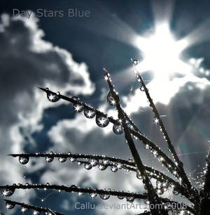 Day Stars Blue